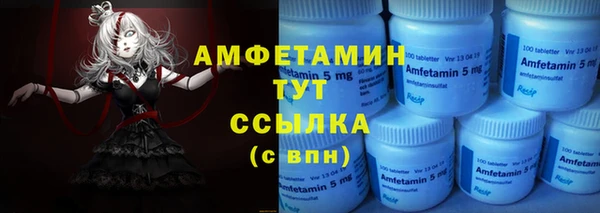 индика Михайлов