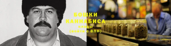 индика Михайлов