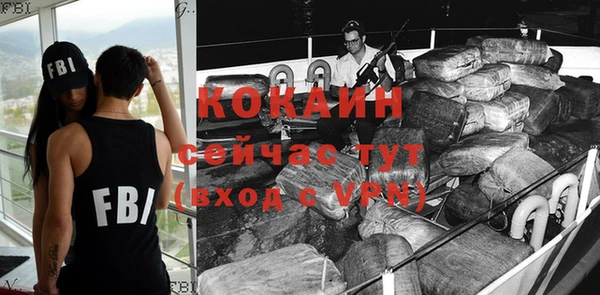 индика Михайлов