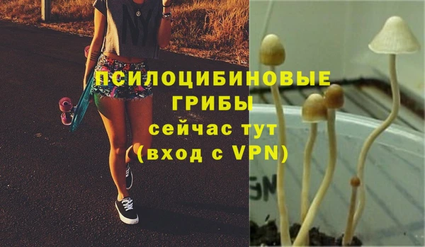 2c-b Навашино