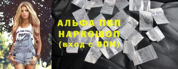индика Михайлов