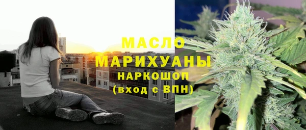 индика Михайлов