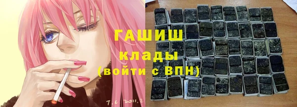 индика Михайлов